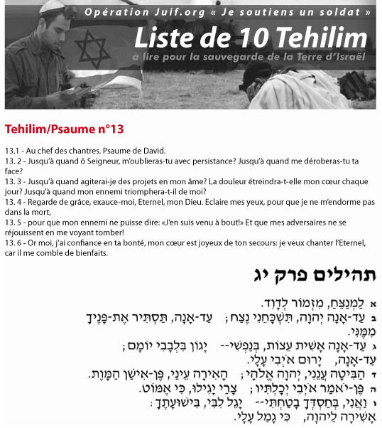 10 Tehilim  lire pour la sauvegarde de la Terre d'Israel